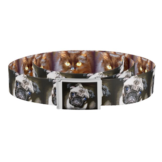 black cats/blue-eyed pug belt (Coil)