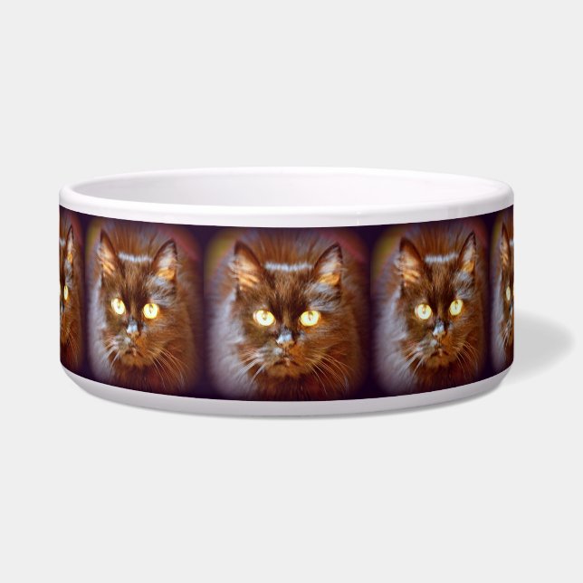 black cats bowl (Front)