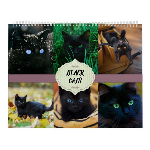 Black Cats Calendar