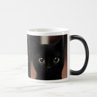 Black Cats Color Morph Mug