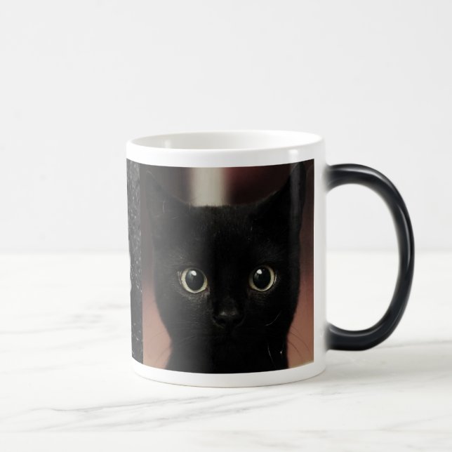 Black Cats Color Morph Mug (Right)