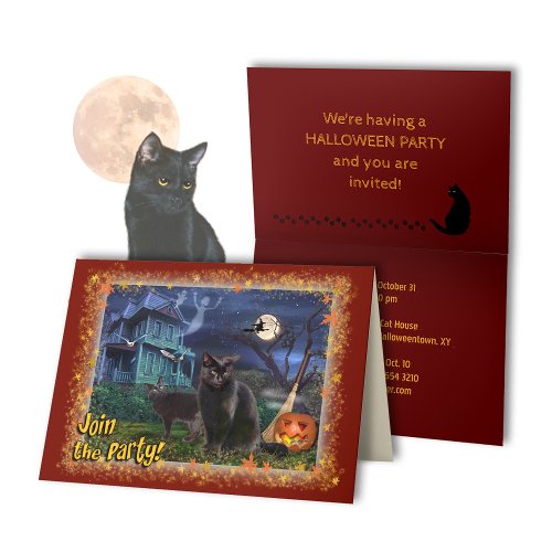 Black Cats Halloween Party Invitation
