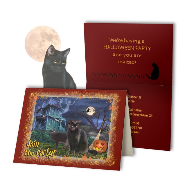 Black Cats Halloween Party Invitation (Creator Uploaded)
