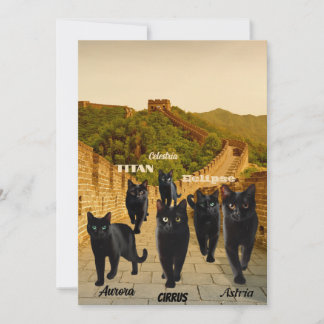 Black Cats Invade The Great Wall Flat Holiday Card