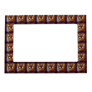 black cats magnetic picture frame