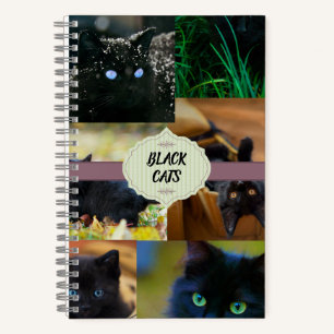 Black Cats Notebook