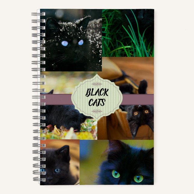 Black Cats Notebook (Front)