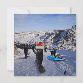 Black Cats On Snowboards Folded Greeting Card