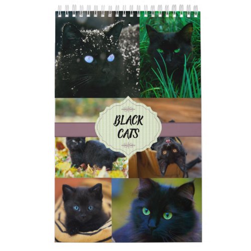 Black Cats One Page Calendar