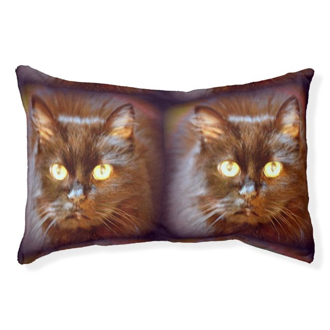 black cats pet bed (Front)