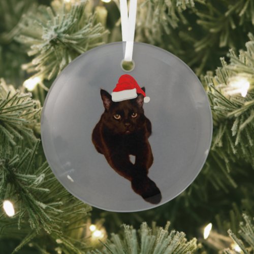 Black Cats Photo Cutout with Santa Hat Gray Glass Ornament