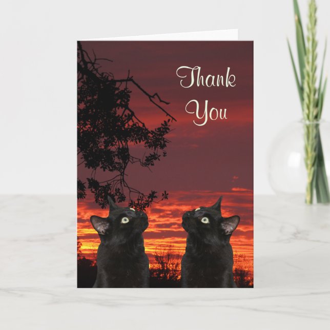 Black Cats Red Sunset Thank You Card (Front)