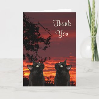 Black Cats Red Sunset Thank You Card