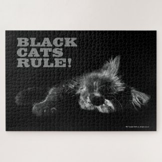 Black Cats Rule - Sleepy Hello Darkness