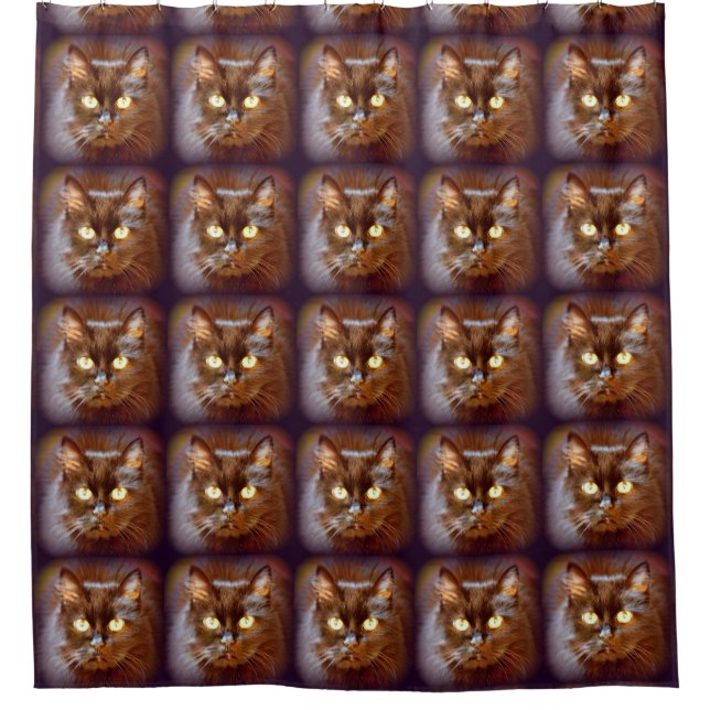 black cats shower curtain (Front)