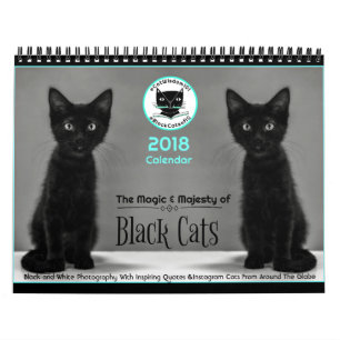 Black Cats Tell All 2018 Calendar
