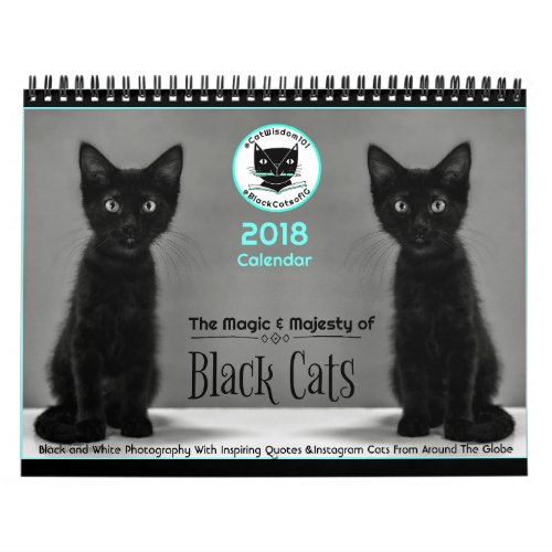 Black Cats Tell All  2018 Calendar
