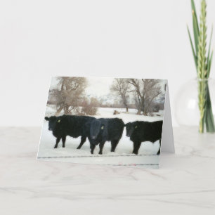 Black Cattle in Snow Letterpress Thank You Card