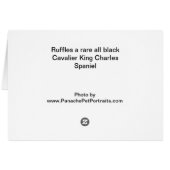 Black Cavalier King Charles Spaniel Cards (Back Horizontal)