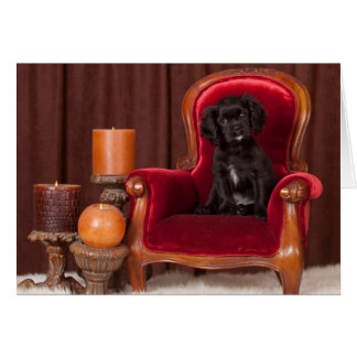 Black Cavalier King Charles Spaniel Cards