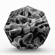 black cells or bacteria