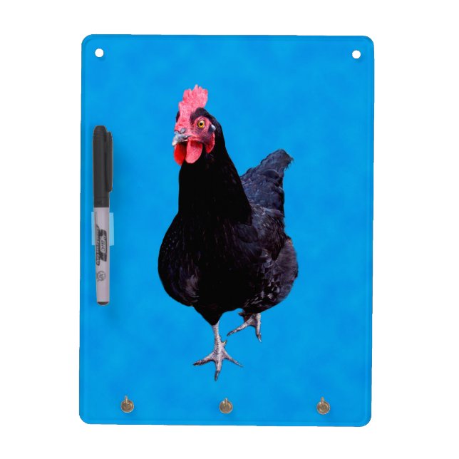 Black Chicken On Blue, Dry Erase Board (Front)