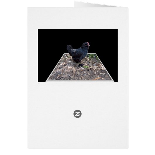 Black Chicken Pop Out,_ (Back)