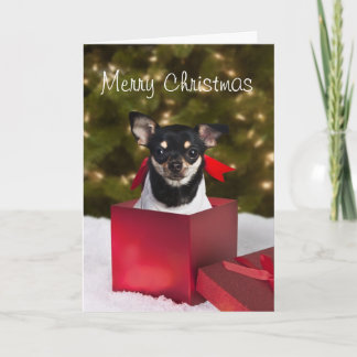 Black Chihuahua Christmas card