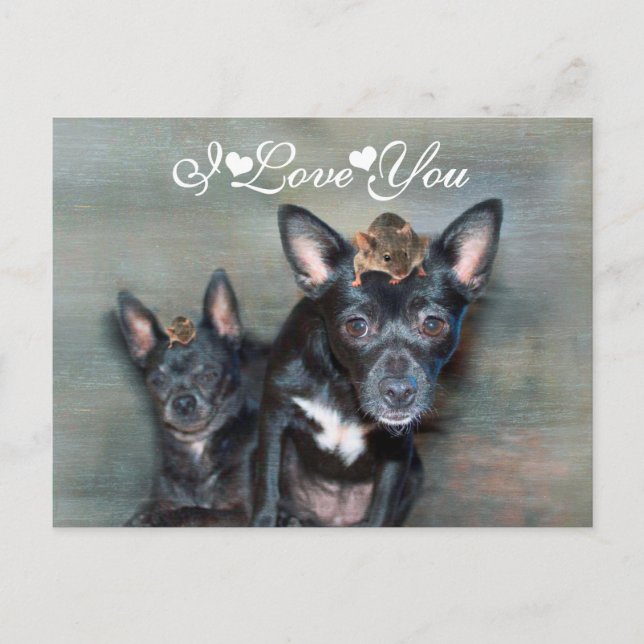 Black Chihuahua Dog with Mouse I Love You Postcard (Front)