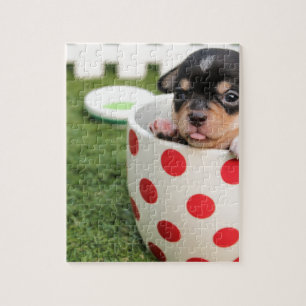 Black chihuahua puppy in a red spotty cup jigsaw puzzle