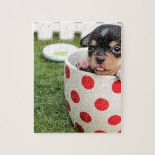 Black chihuahua puppy in a red spotty cup jigsaw puzzle
