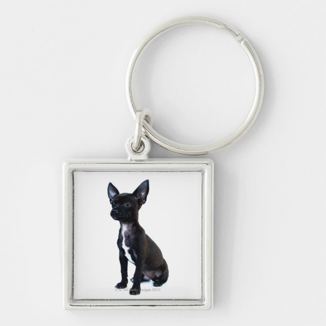 Black Chihuahua puppy Keychain (Front)