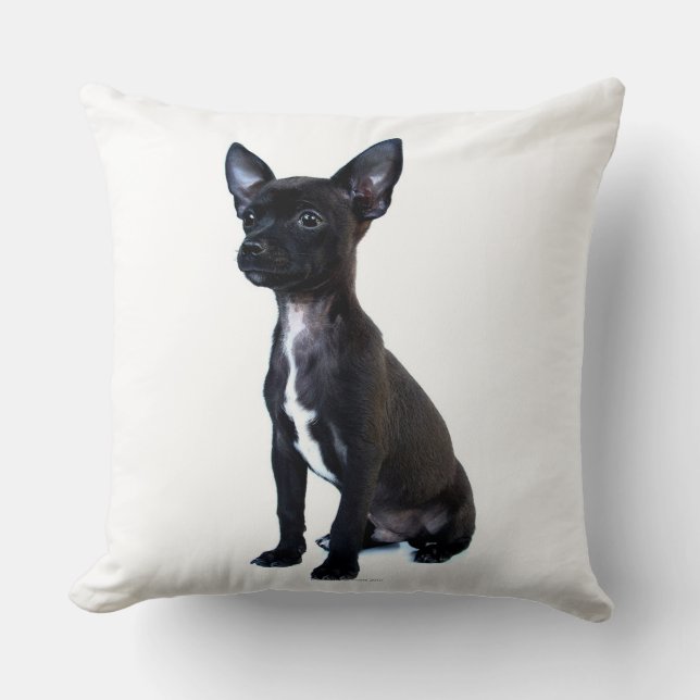 Black Chihuahua puppy Throw Pillow (Front)