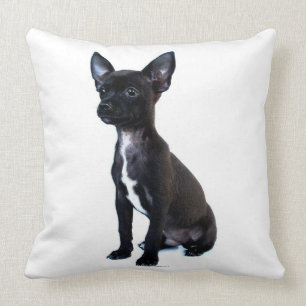 Black Chihuahua puppy Throw Pillow