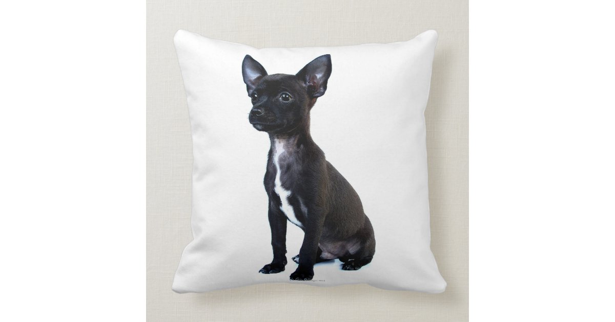 chihuahua throw pillows