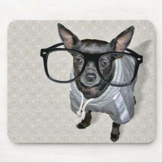 Black Chihuahua with Glasses Photo Mouse Pad
