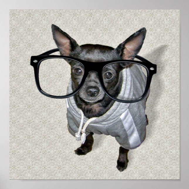 Black Chihuahua with Glasses Photo Poster (Front)
