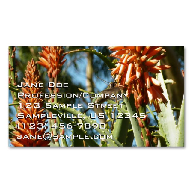 Black-Chinned Hummingbird in Flight Business Card Magnet (Front)