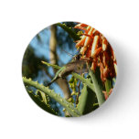 Black-Chinned Hummingbird in Flight Button