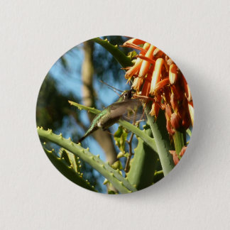 Black-Chinned Hummingbird in Flight Button