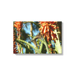 Black-Chinned Hummingbird in Flight Canvas Print