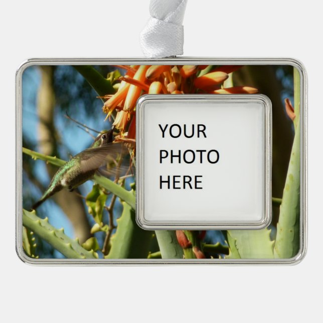 Black-Chinned Hummingbird in Flight Christmas Ornament (Front)