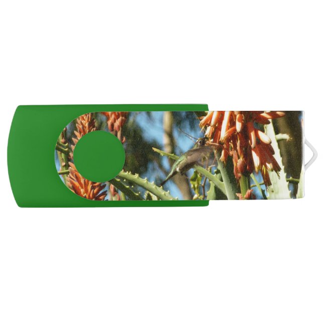 Black-Chinned Hummingbird in Flight Flash Drive (Front)