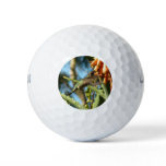 Black-Chinned Hummingbird in Flight Golf Balls