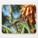 Black-Chinned Hummingbird in Flight Mouse Pad