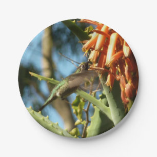 Black-Chinned Hummingbird in Flight Paper Plates