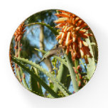 Black-Chinned Hummingbird in Flight Paperweight