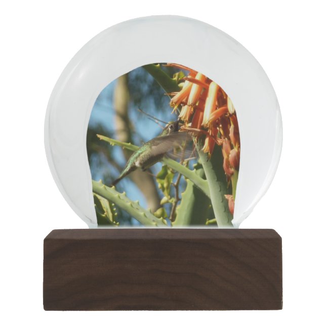 Black-Chinned Hummingbird in Flight Snow Globe (Front)