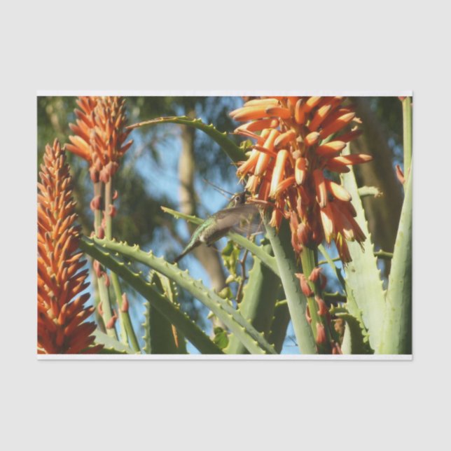 Black-Chinned Hummingbird in Flight Tissue Paper (Front)