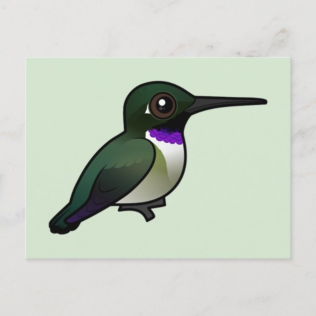 Black-chinned Hummingbird Postcard (Front)